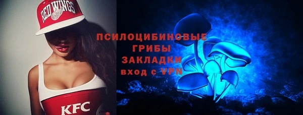 амф Арсеньев