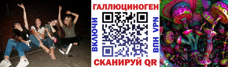 Псилоцибиновые грибы Cubensis  купить наркоту  mega ссылки  Куса 